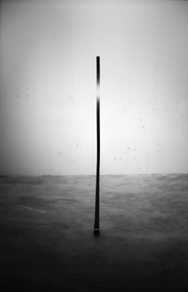 Anne-Camille Allueva