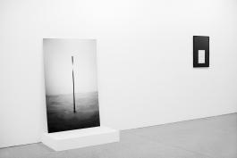 Anne-Camille Allueva