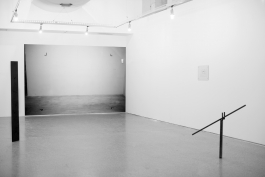 Anne-Camille Allueva