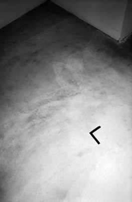 Anne-Camille Allueva