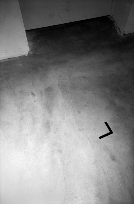 Anne-Camille Allueva