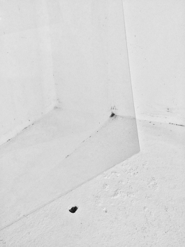 Anne-Camille Allueva