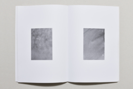 Anne-Camille Allueva