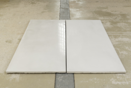 Anne-Camille Allueva