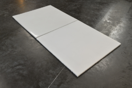 Anne-Camille Allueva