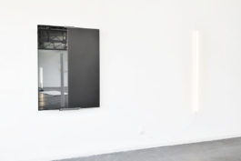 Anne-Camille Allueva