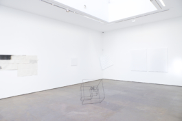 Anne-Camille Allueva