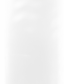 Anne-Camille Allueva