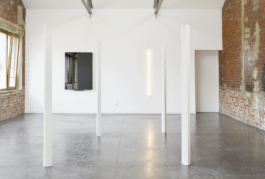 Anne-Camille Allueva