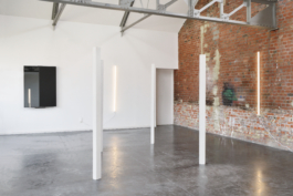 Anne-Camille Allueva