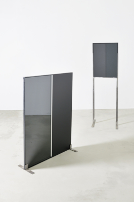 Anne-Camille Allueva