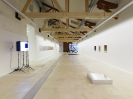 Anne-Camille Allueva