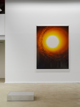 Anne-Camille Allueva