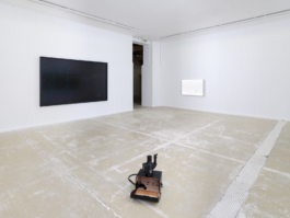 Anne-Camille Allueva