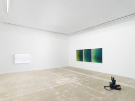 Anne-Camille Allueva