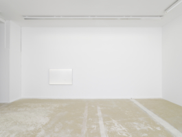 Anne-Camille Allueva