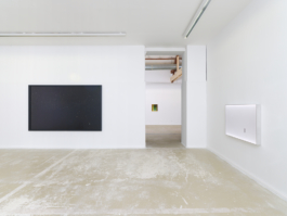 Anne-Camille Allueva