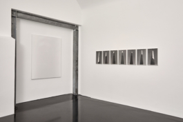 Anne-Camille Allueva